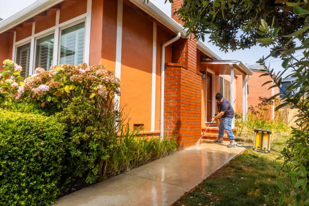 Best Pressure Washing Patio  in Gouldtown, NJ
